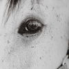 Eye Of The Beholder Framed Print thumbnail 5