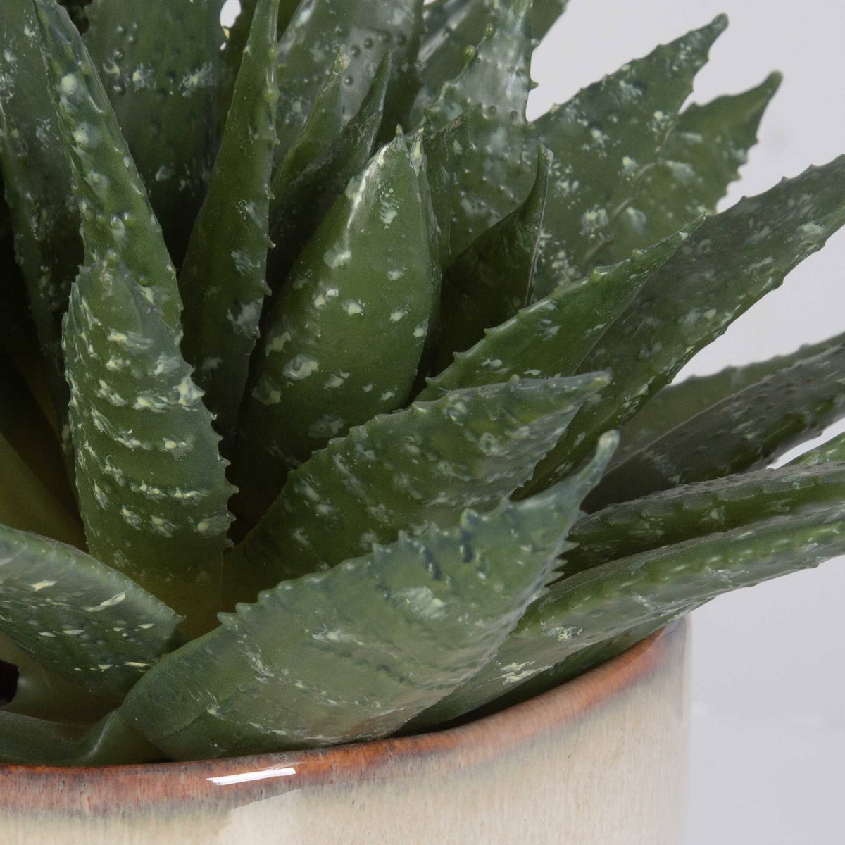 Doha Succulent Accent, Artificial Plants & Flower by Uttermost, 11" width x 10.5" height x 9" depth View 5