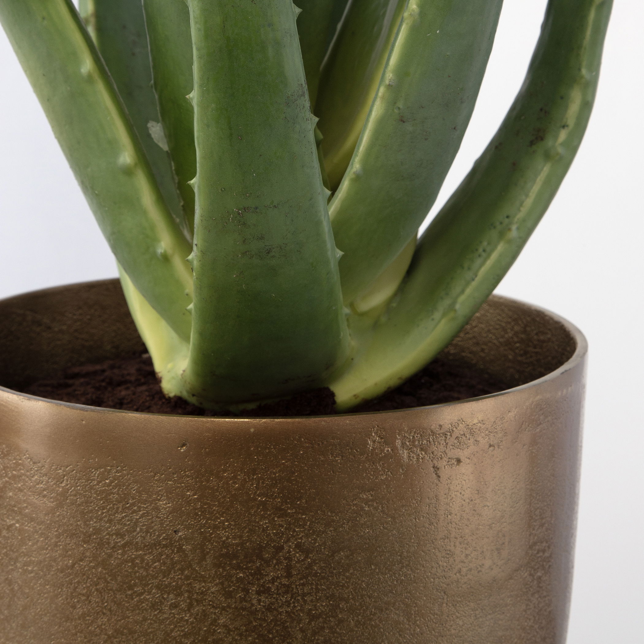 Arabia Aloe Planter large image 