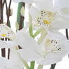 Eterna Orchid Centerpiece & Vase, Artificial Plants & Flower by Uttermost, 19.75" width x 48.5" height x 19.75" depth thumbnail 7