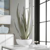 Evarado Aloe Planter, Decorative by Uttermost, 16.75" width x 28.25" height x 16.75" depth thumbnail 5