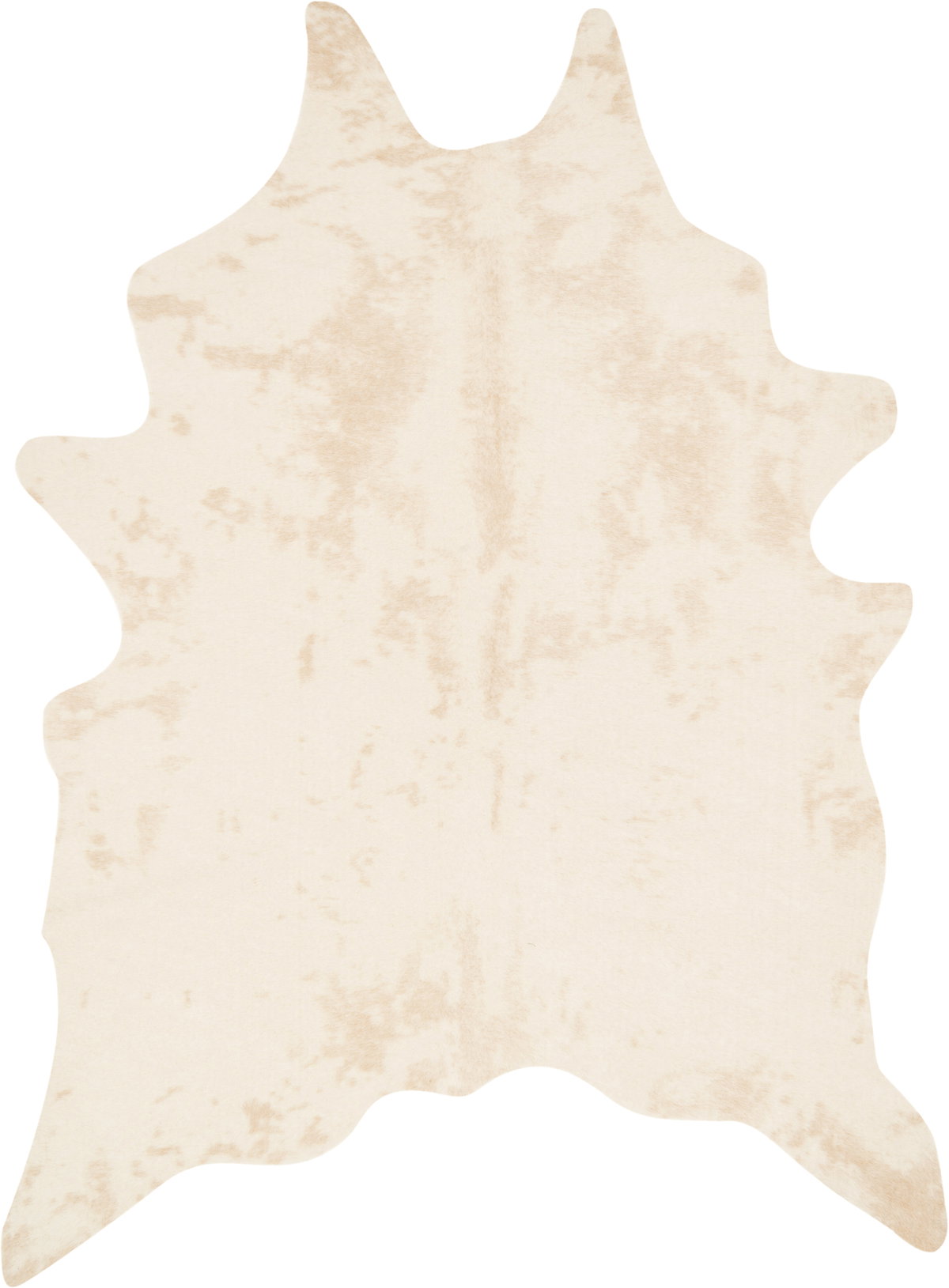 Loloi Grand Canyon Rug, 3'10" length x 5' width View 1