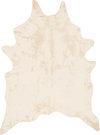 Loloi II Grand Canyon Rug, 3'10" length x 5' width thumbnail