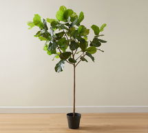 Online Designer Living Room Faux Potted Fiddle Leaf Fig Tree, Large, 8'