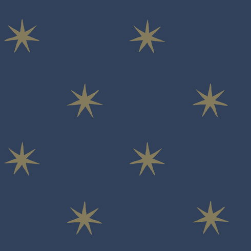 Star Splendor Navy & Metallic Gold Peel & Stick Wallpaper