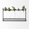 Bunsen Black Metal Five Glass Test Tube Vase thumbnail 3