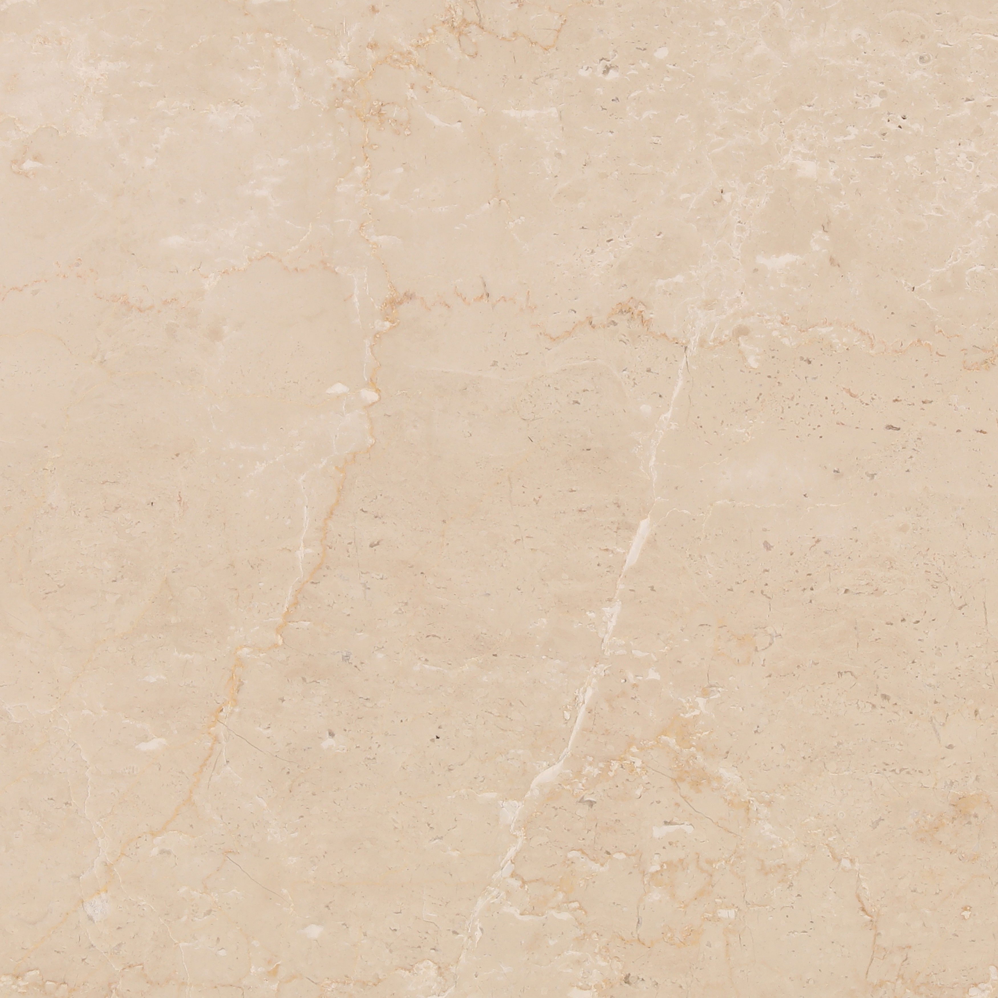 Thandi Console Table Light Natural, by Dovetail, 48" width x 31" height x 16" depth View 4