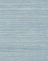 Maguey Sisal Sky Wallpaper thumbnail 0