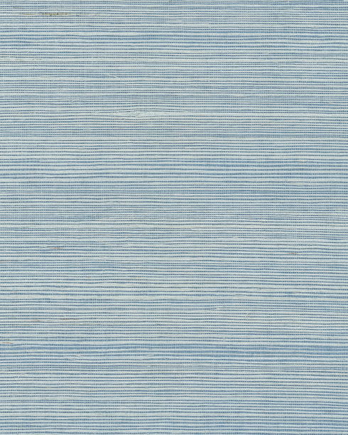 Maguey Sisal Sky Wallpaper