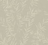 Allerton Bamboo Taupe Wallpaper thumbnail 0