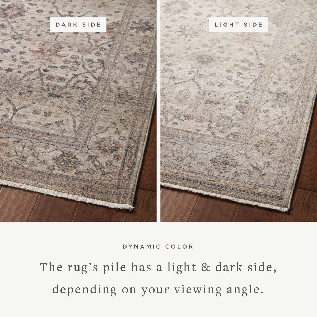 Loloi Lyra Rug, 5'3" length x 7'9" width View 2