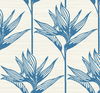 Bird of Paradise Blue Wallpaper thumbnail 0