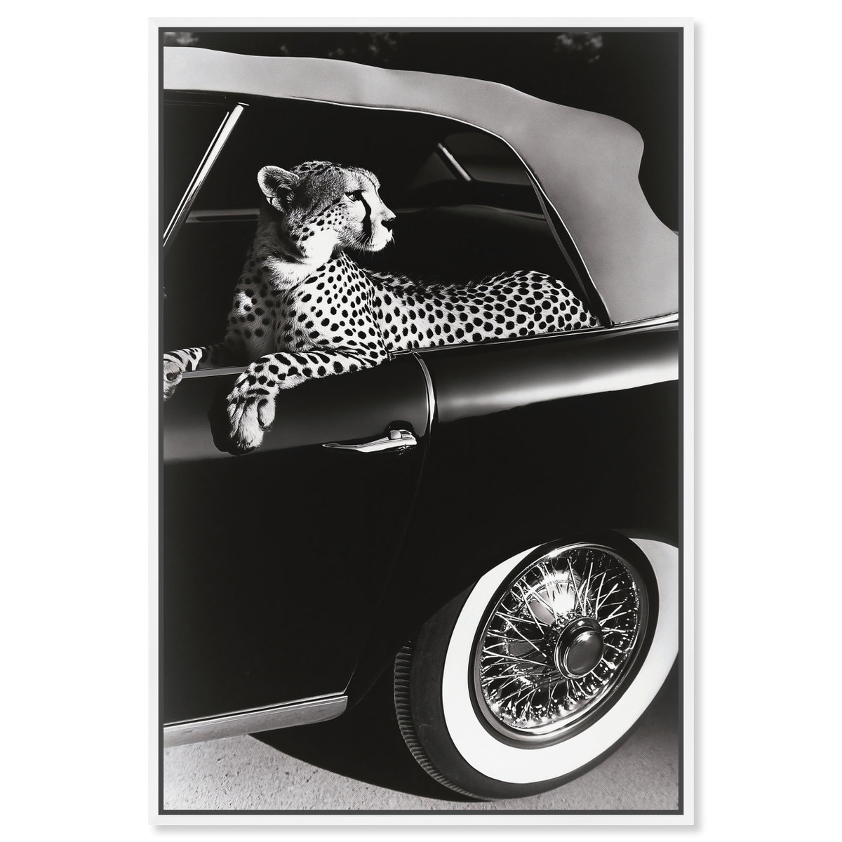 Convertible Feline I (No Embellishment), Art by Oliver Gal,  24x36 View 1