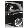 Convertible Feline I (No Embellishment), Art by Oliver Gal,  24x36 thumbnail 1