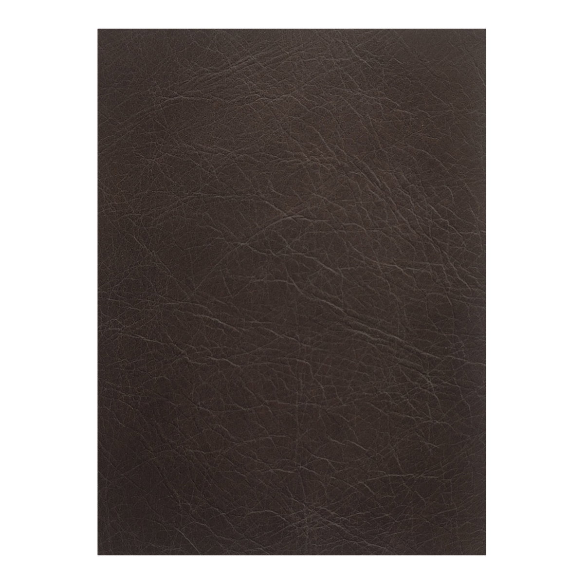 Thurlow Modular Sofa Espresso Brown Leather, Sectional Sofa by Moe's Home, 124.2" width x 33" height x 39" depth View 6