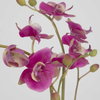 Glory Fuchsia Orchid, Artificial Plants & Flower by Uttermost, 11.25" width x 13" height x 5.25" depth thumbnail 5