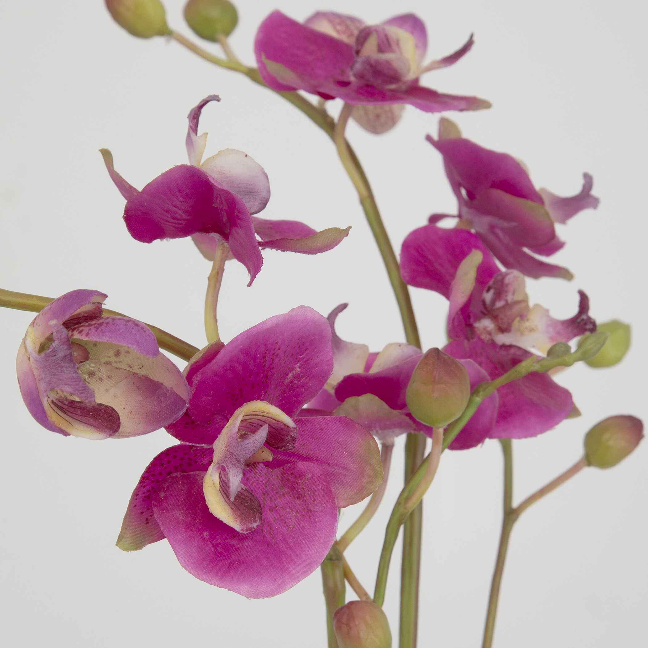 Glory Fuchsia Orchid, Decorative by Uttermost, 11.25" width x 13" height x 5.25" depth View 5