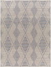 Tuareg Machine Woven Rug thumbnail 0