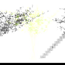 Online Designer Dining Room Dark Focal Plant