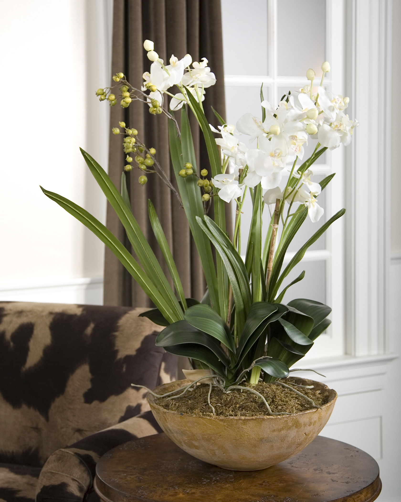 Moth Orchid Planter large image 