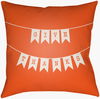 Banner Accent Pillow, Decorative Pillow by Surya, 18" length x 18" width thumbnail