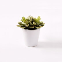 Online Designer Bathroom Faux Succulent