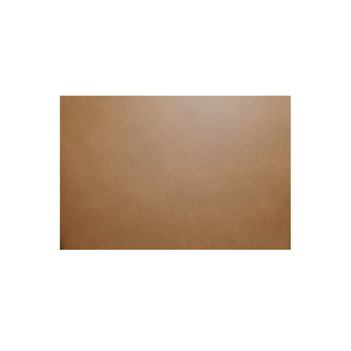 Costello Bench Tan, Benche by Moe's Home, 61" width x 18" height x 20" depth View 5