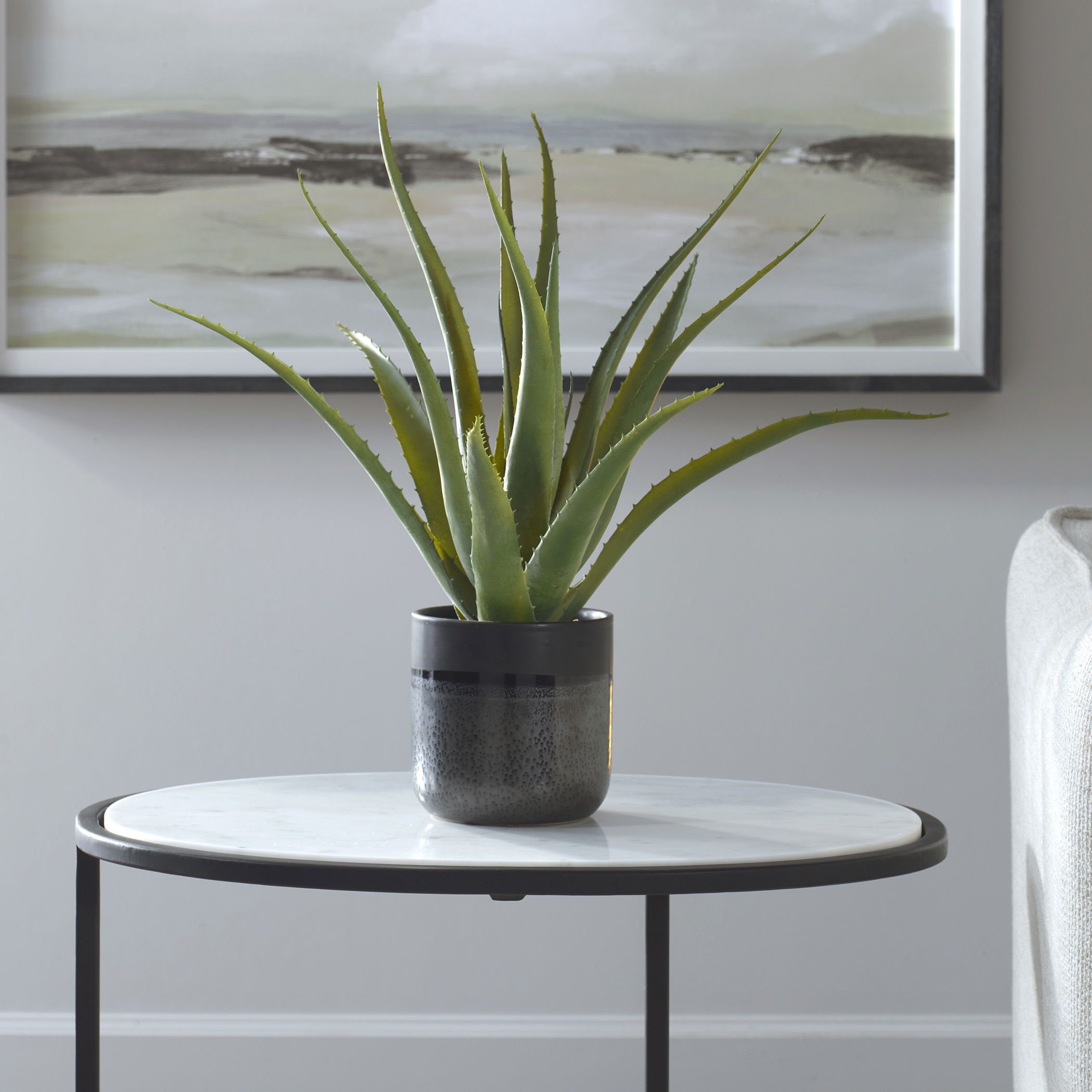 Tucson Aloe Planter large image 