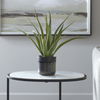 Tucson Aloe Planter thumbnail 1
