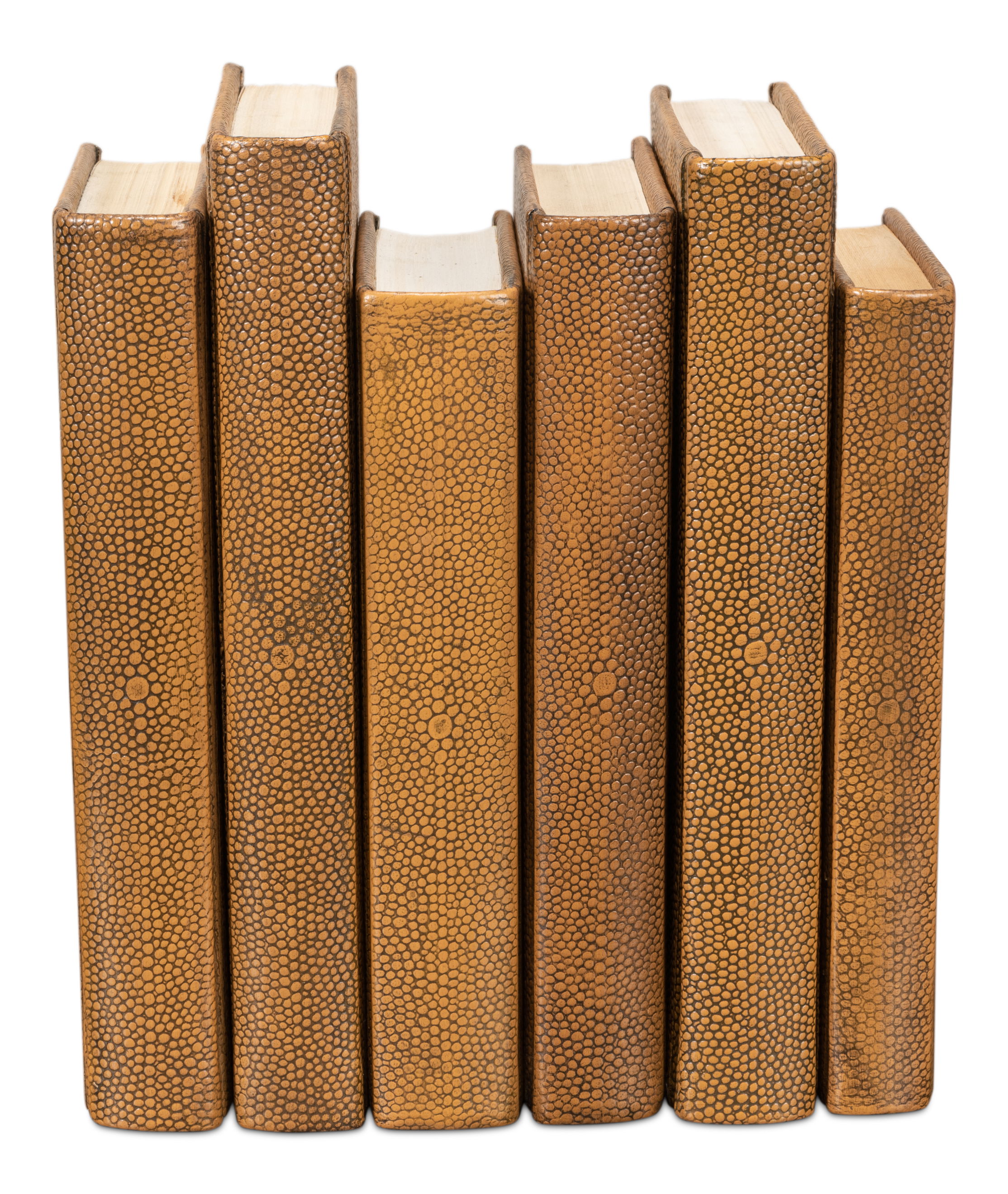 Shagreen Books  Set Of 12  Tawny Brown large image 