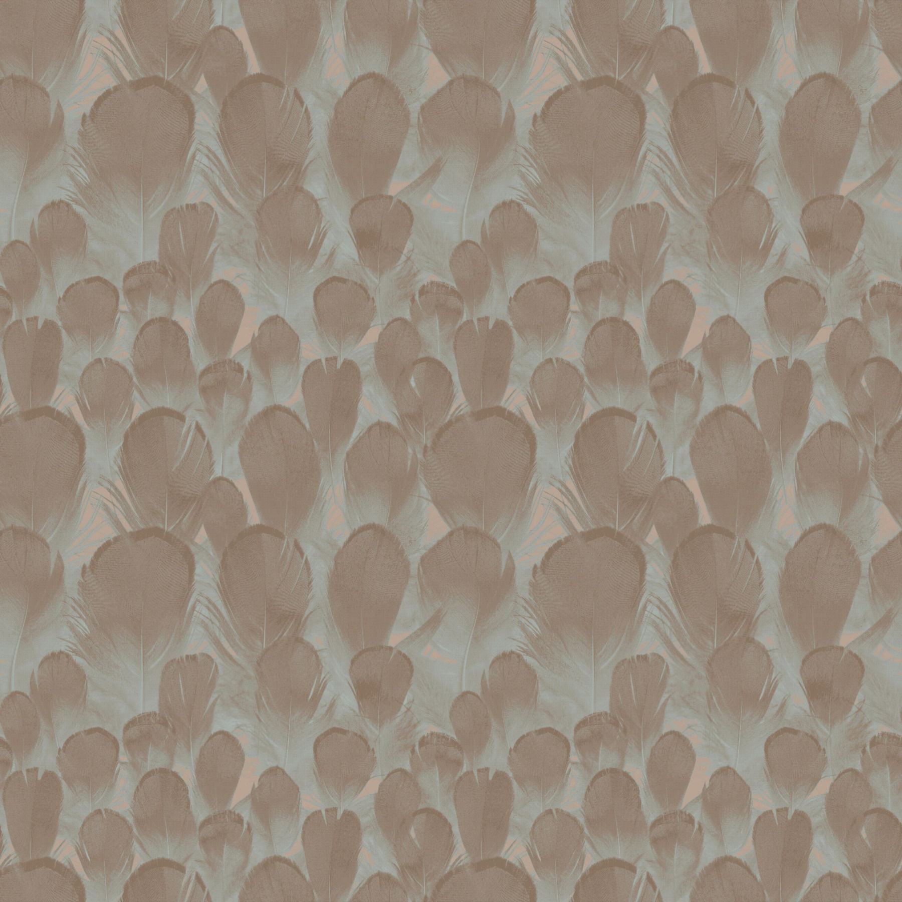 Feathers Brown & Turquoise Wallpaper large image 