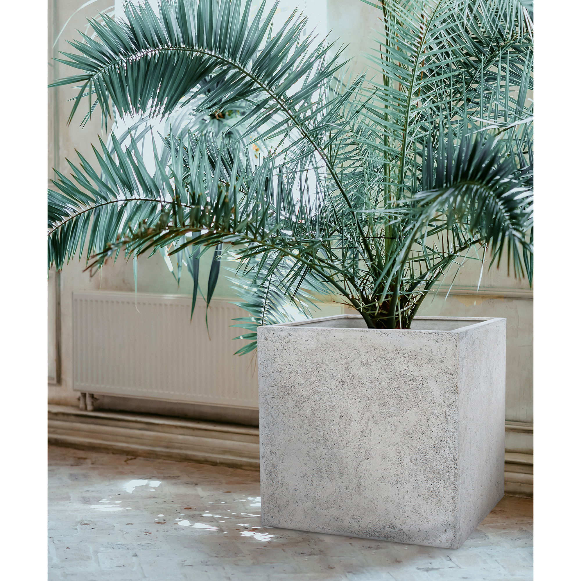 Noemie Planter large image 