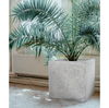 Noemie Planter thumbnail 3