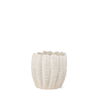 Velia Short Seashell Sculptural Cream Glazed Ceramic Vase thumbnail 0