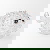 Spike II (Large) 10L x 6W Off-White Ceramic Puffer Fish thumbnail 5