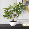 Pachira Money Tree, Artificial Plants & Flower by Uttermost, 26.5" width x 34.5" height x 28.25" depth thumbnail 3