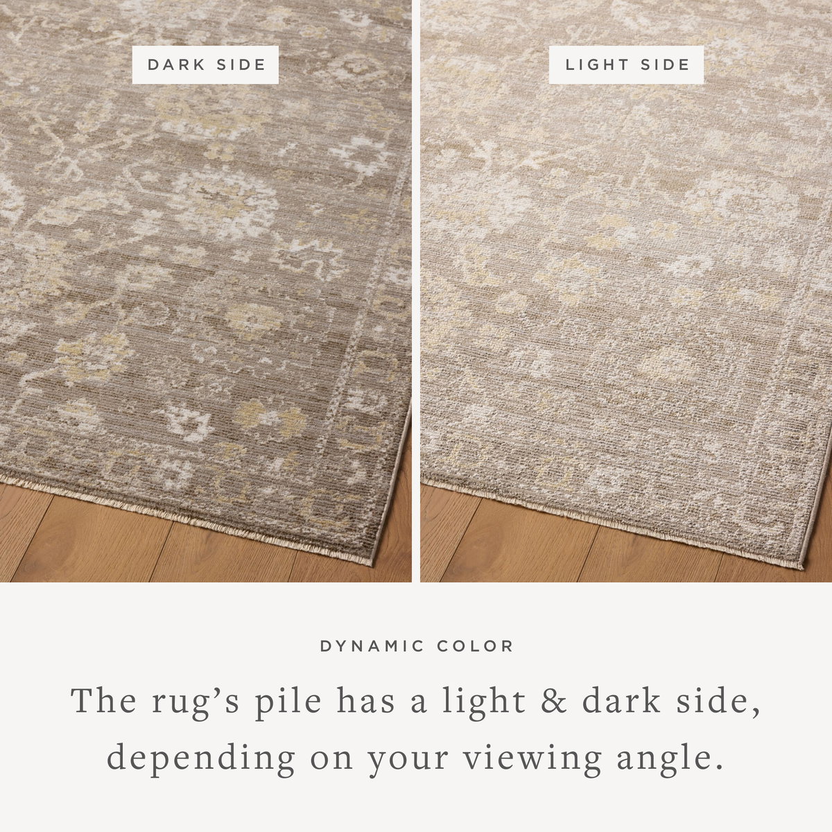 Magnolia Home by Joanna Gaines x Loloi Pace Rug, 2'3" length x 3'10" width View 5