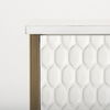 Savannah White Fir Veneer with Gold Metal Accent 2-Door Accent Cabinet, Cabinets & Chest by Mercana, 31.5" length x 15.75" width x 31.5" height thumbnail 10