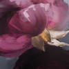 Plum Ranculus Framed Floral Art, by Uttermost, 50.7" width x 50.7" height x 2" depth thumbnail 5