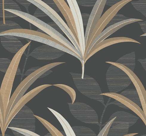 El Morocco Palm Black Wallpaper