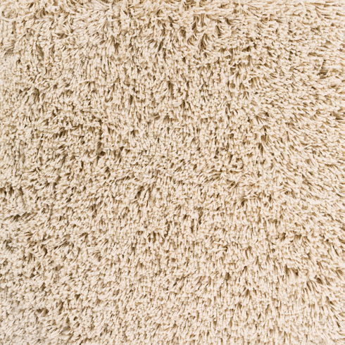 Arlie Machine Woven Rug
