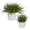 Edgewood Greenery Set/2, Artificial Plants & Flower by Uttermost, 18" width x 14" height x 18" depth thumbnail 1