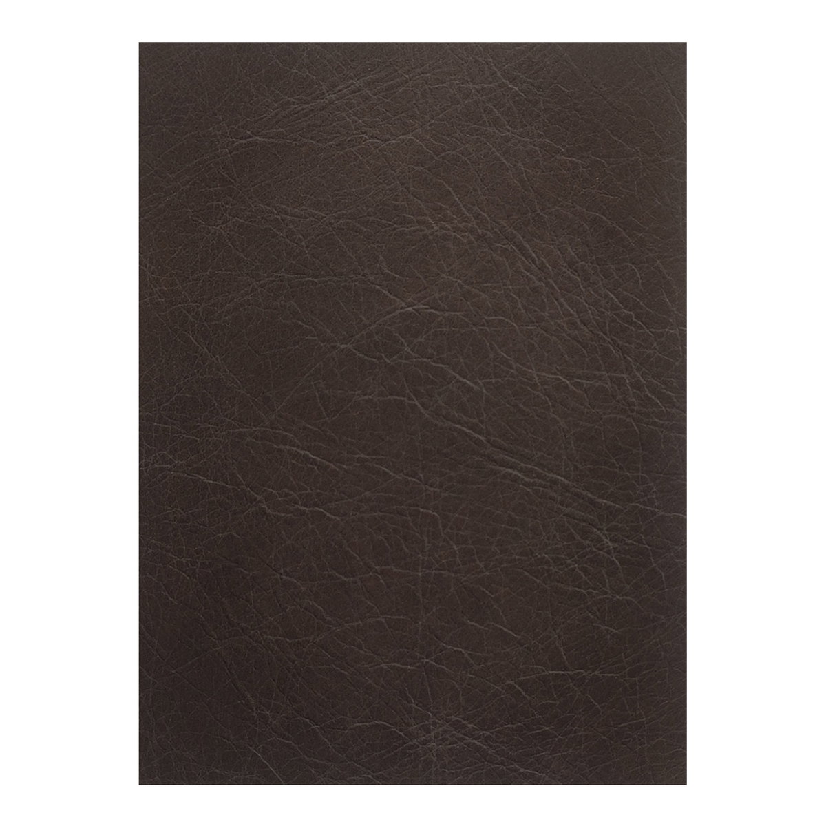 Thurlow 4 Piece Modular Sectional Espresso Brown Leather, Sectional Sofa by Moe's Home, 160.3" width x 33" height x 123.1" depth View 5