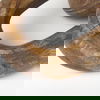 Tayla Large Medium Brown Wood Chain Link thumbnail 7