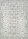 Aram Machine Woven Rug, by Surya, 9'0.27" length x 6'5.56" width thumbnail