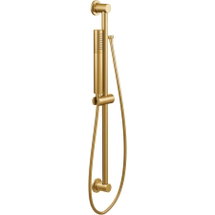 Online Designer Bathroom Single Function Hand Shower Package with Hose and Slide Bar Included from the Level Collection