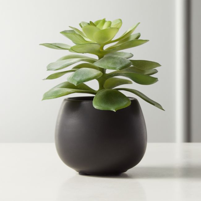 Online Designer Bathroom Faux Potted Echeveria Succulent 5.75