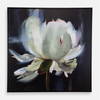 Peony Framed Floral Art, by Uttermost, 51.5" width x 51.5" height x 2" depth thumbnail 1