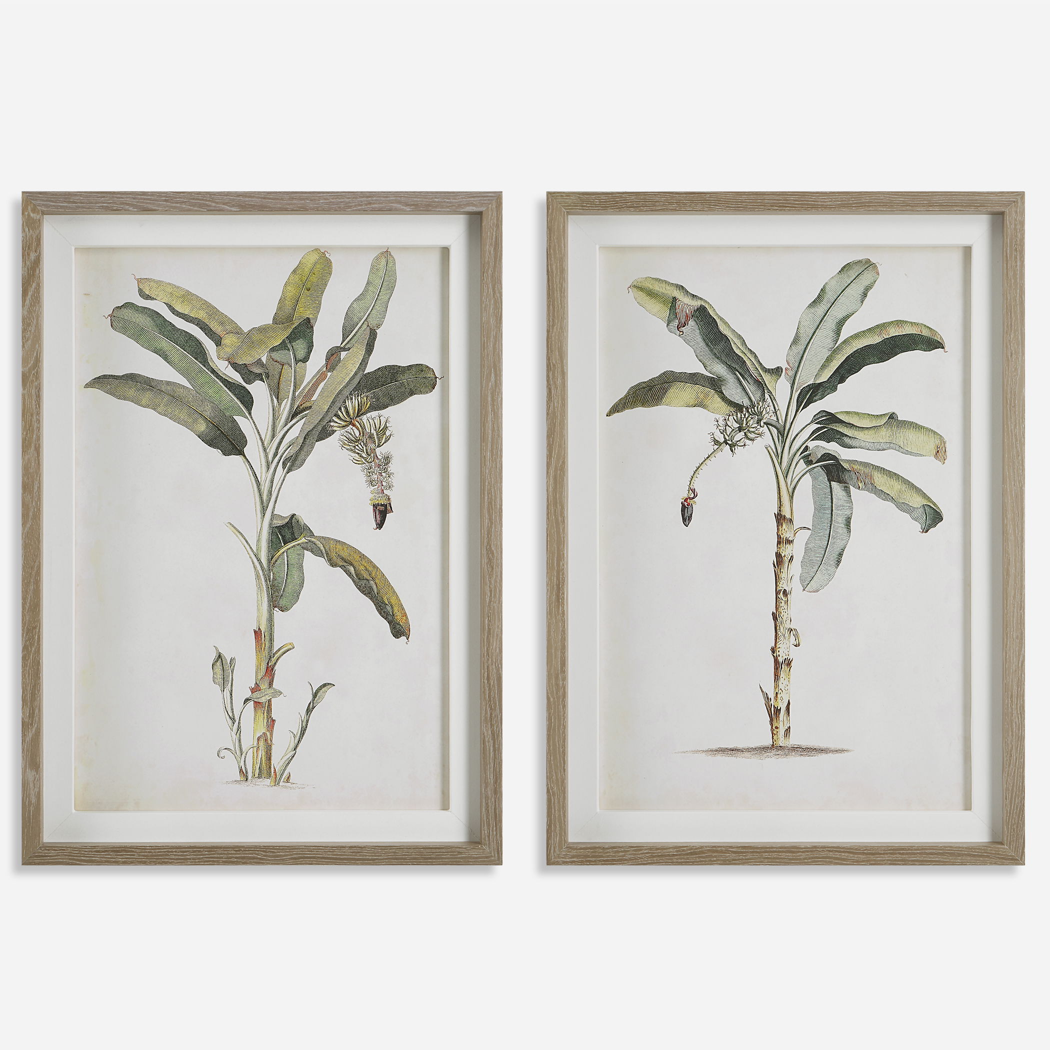 Banana Palm Framed Prints, Set/2 large image 