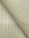 Maguey Sisal Celery Wallpaper thumbnail 2